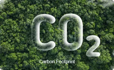 Carbon Footprint