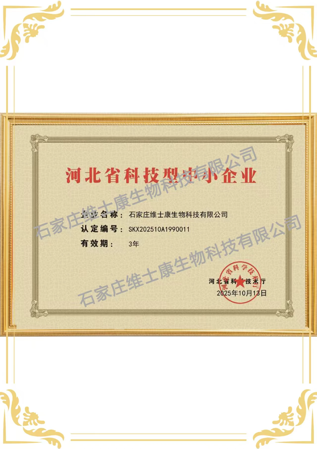 Small and medium-sized technology enterprises